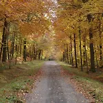 Ardennest Nyaraló *
