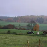 Nyaraló Ardennest Gedinne