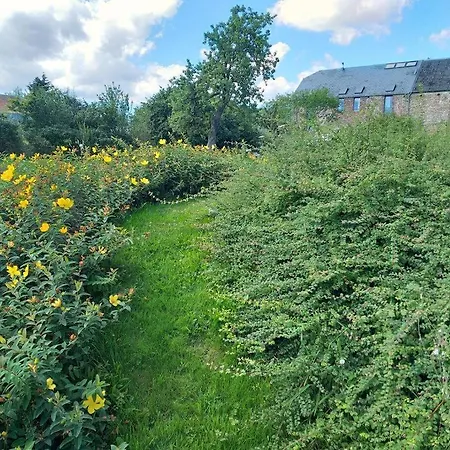 Maison Berton Tatil Evi Gedinne